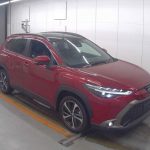 Toyota Corolla Cross 2024
