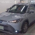 Toyota Corolla Cross 2021