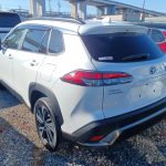 Toyota Corolla Cross (Hybrid) 2021