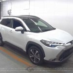 Toyota Corolla Cross (Hybrid) 2021