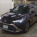 Toyota Corolla Cross (Hybrid) 2021