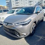 Toyota Corolla Cross 2021