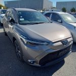 Toyota Corolla Cross 2021