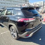 Toyota Corolla Cross 2021