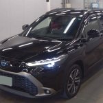 Toyota Corolla Cross 2021