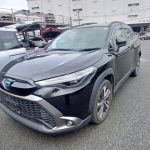 Corolla Cross 2021
