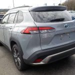 Toyota Corolla Cross 2021