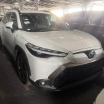 Toyota Corolla Cross 2021